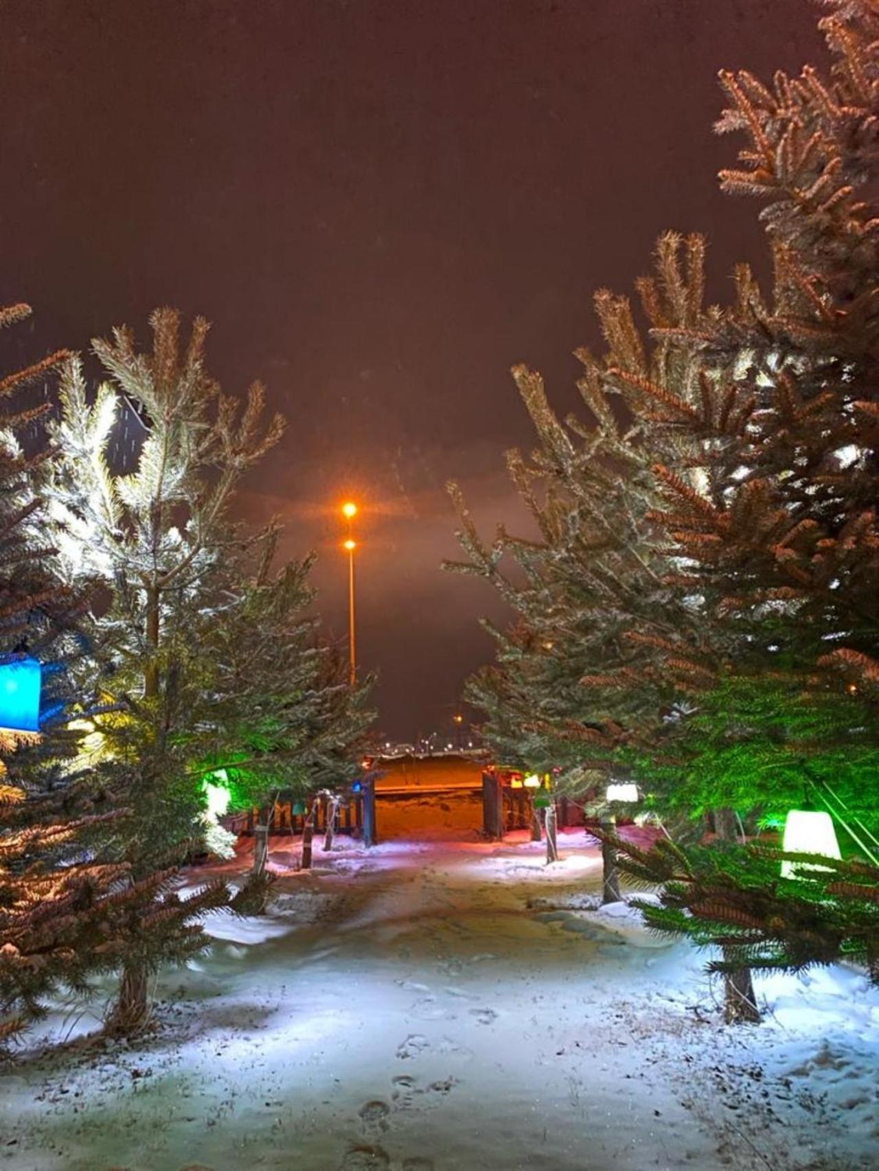 Snow Life Hotel Sarıkamış المظهر الخارجي الصورة